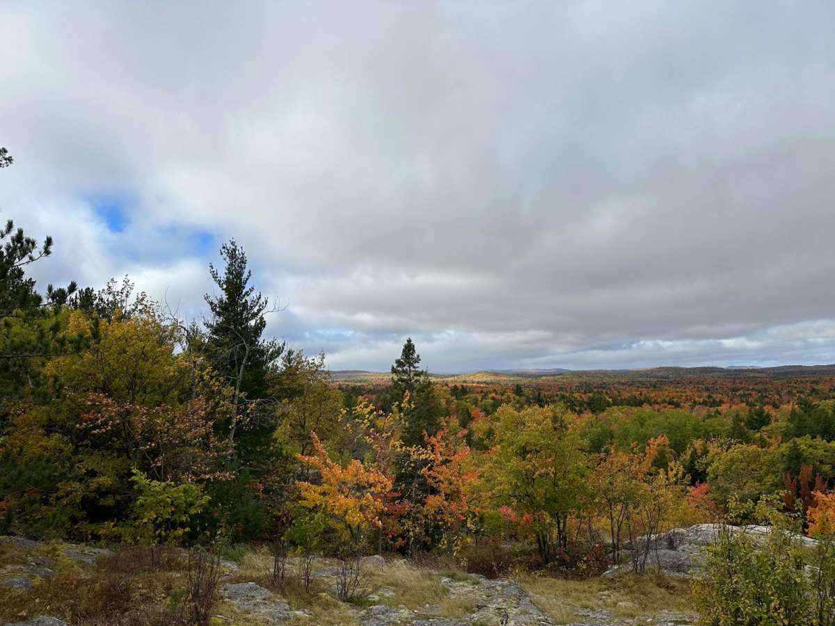 Harlow Lake Road Trail trail photo