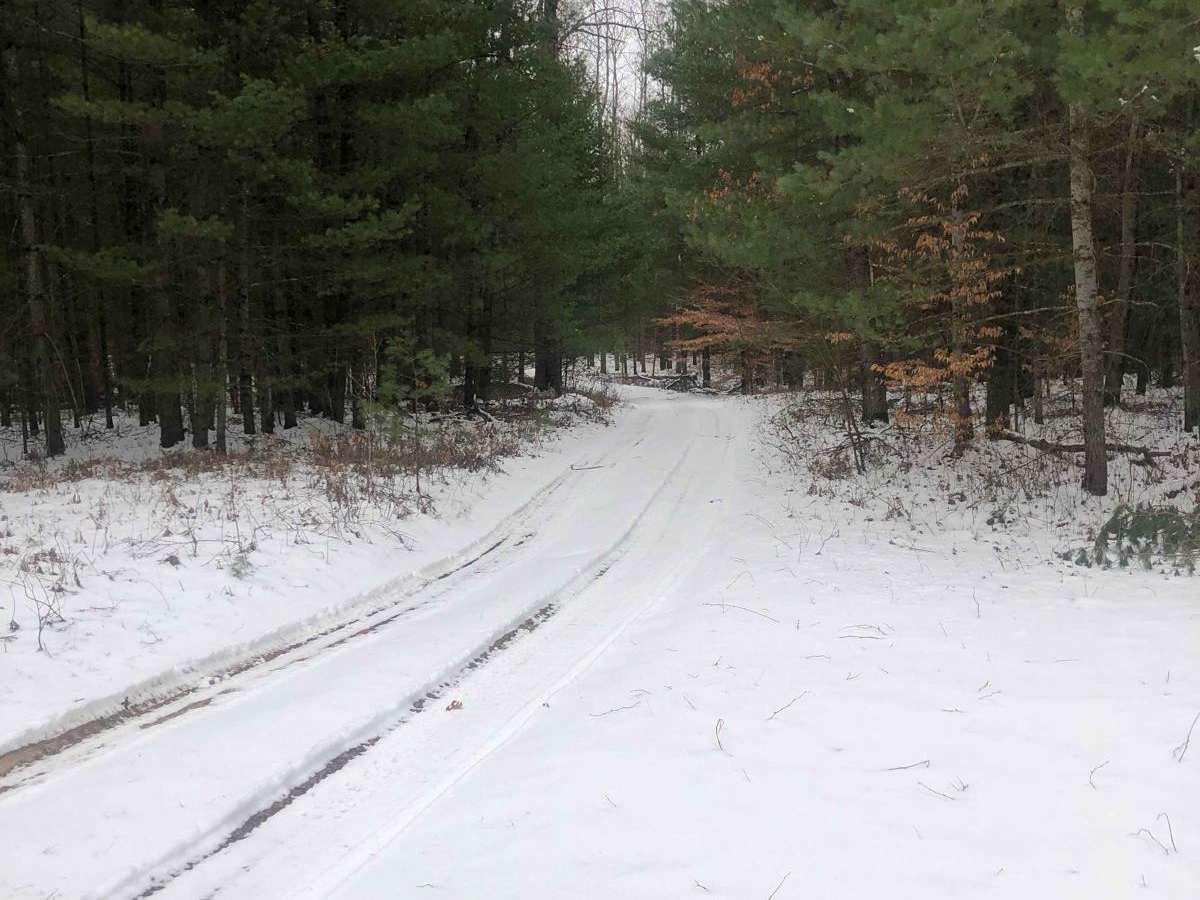 NFS Road 5240 photo 3
