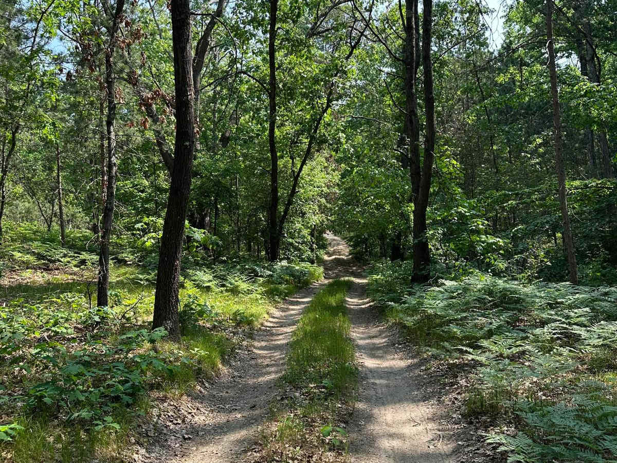Trail 5389 photo 2