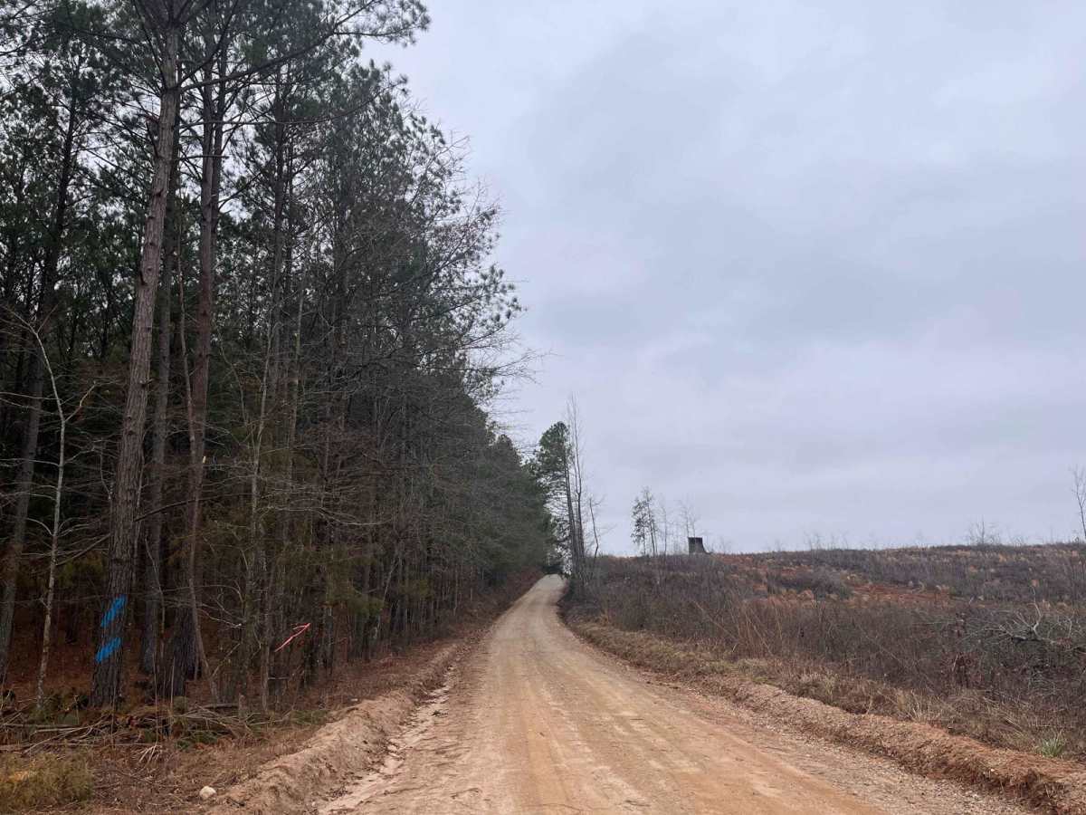 Old Charleston Road photo 2