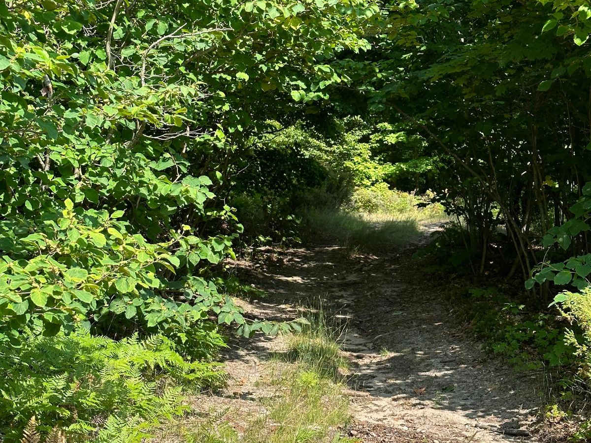 Beeman Road Spur photo 6