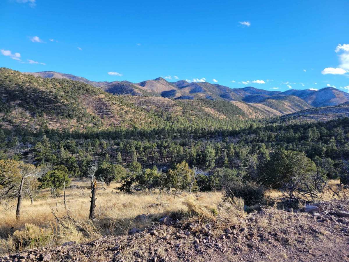 Mount Withington via Monica Saddle photo 4
