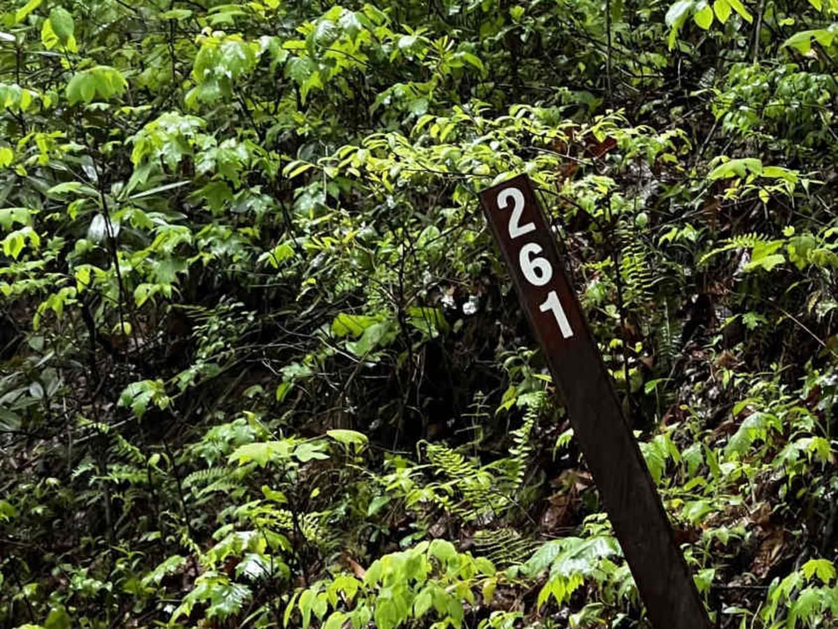 Burnette Creek - FS 261 photo 2