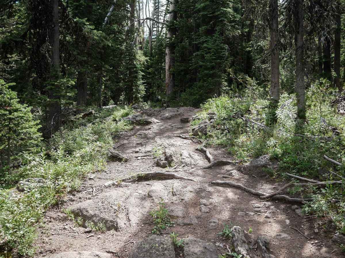 Golden Trout Lakes #83 photo 2