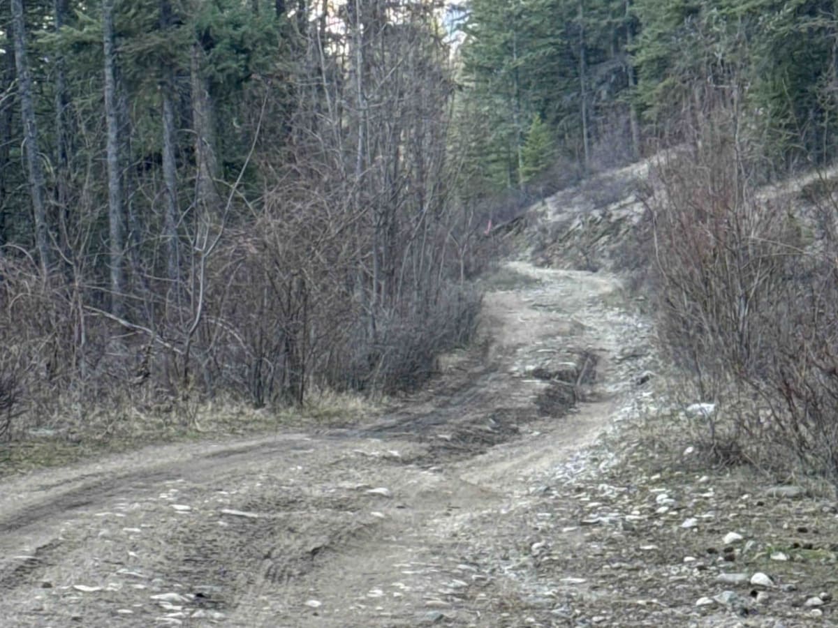 Terrace Mountain Connector photo 5
