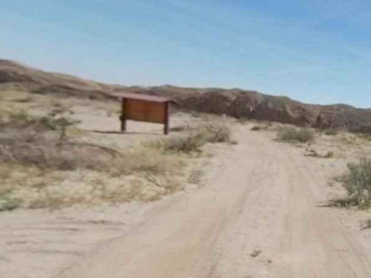 North Fork Palm Wash photo 6