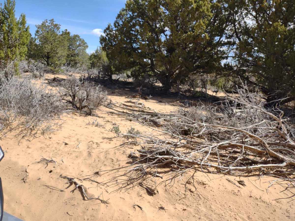 Mansard Trail North (BLM 104) photo 6
