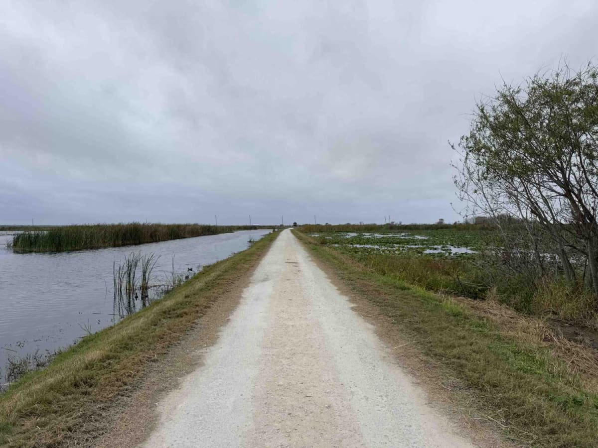 Welland & Roach Road photo 2
