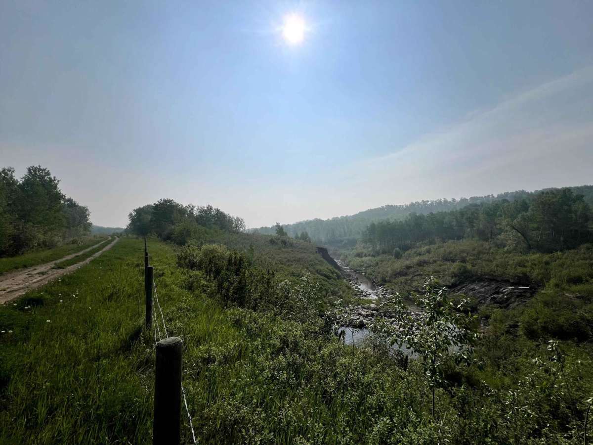Smith Creek photo 4