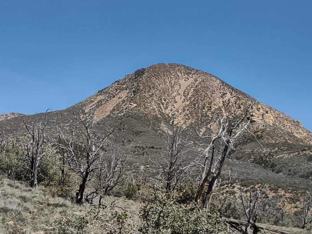 Billy Goat Byway to Jackson Peak trail photo