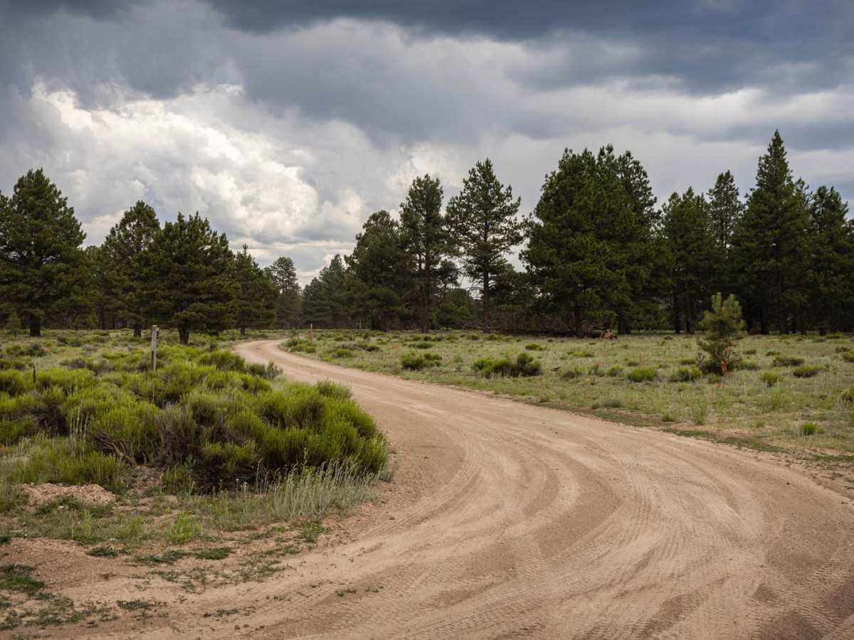 Beale's Wagon Road trail photo