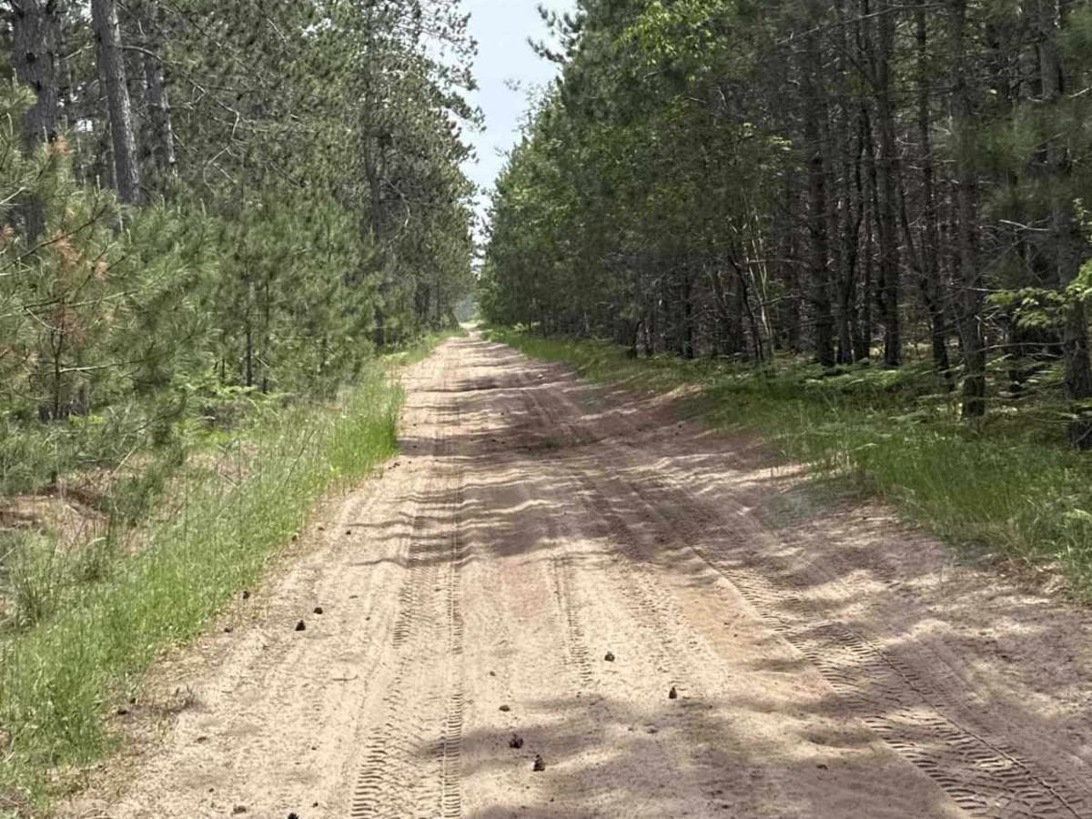 Townline trail photo