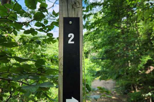 Trail 2 - Black - Rock Run Recreation Area