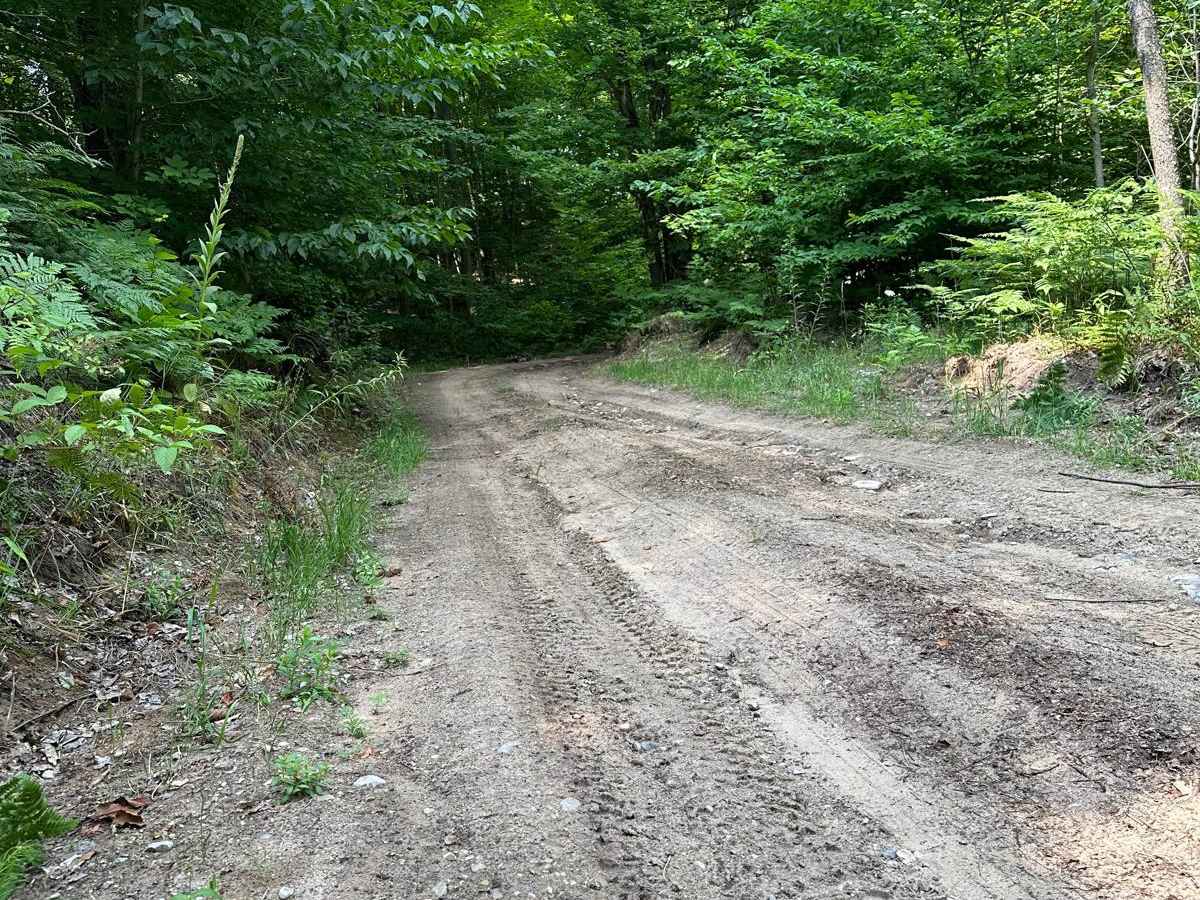 Lost Lake Road photo 2