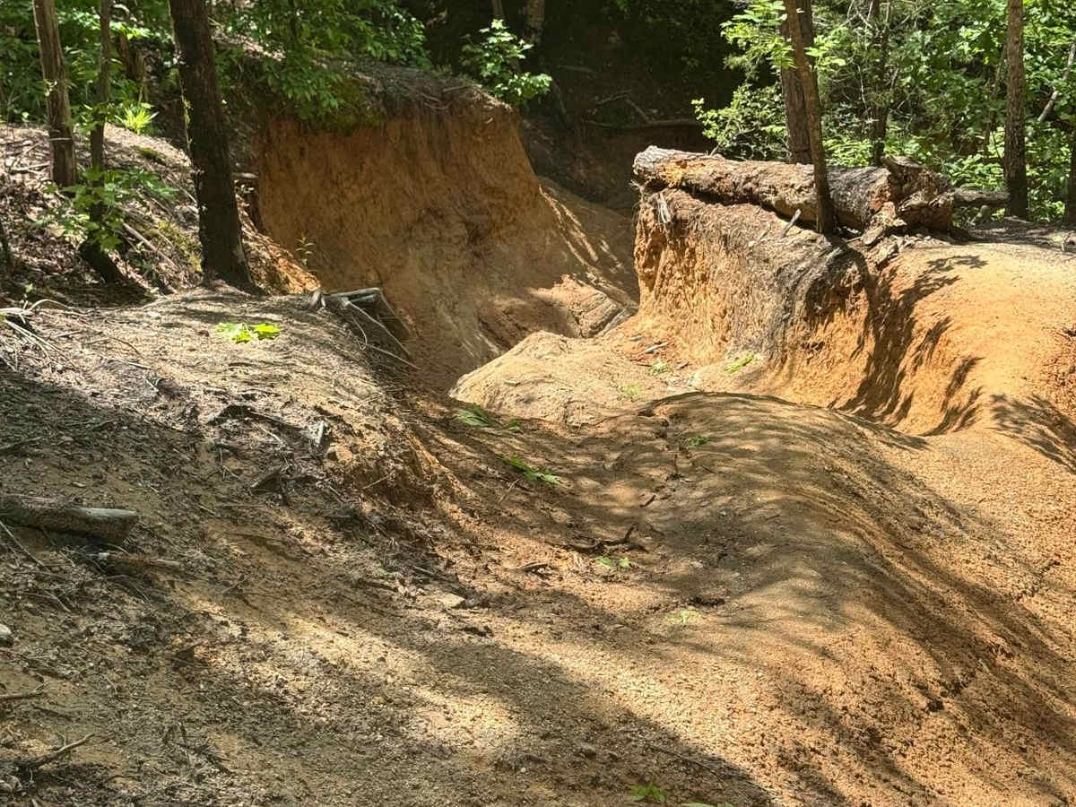 Papa Gulch photo 6