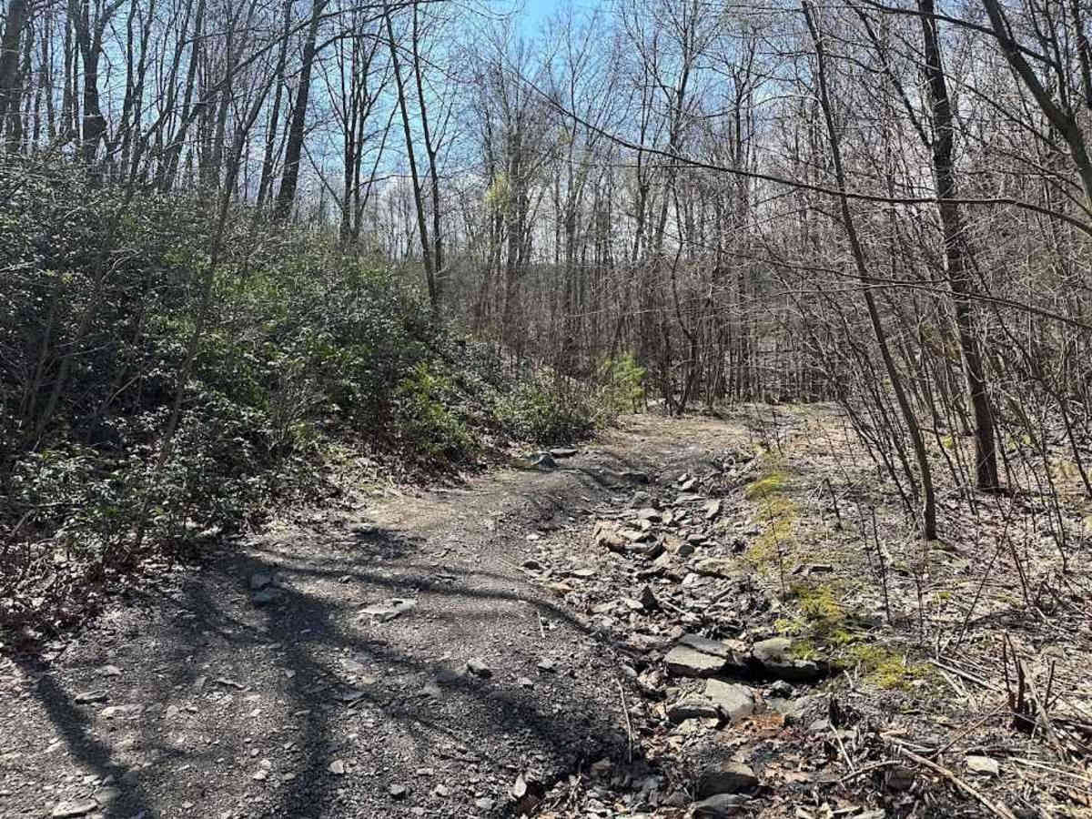 Ashland 117 photo 3