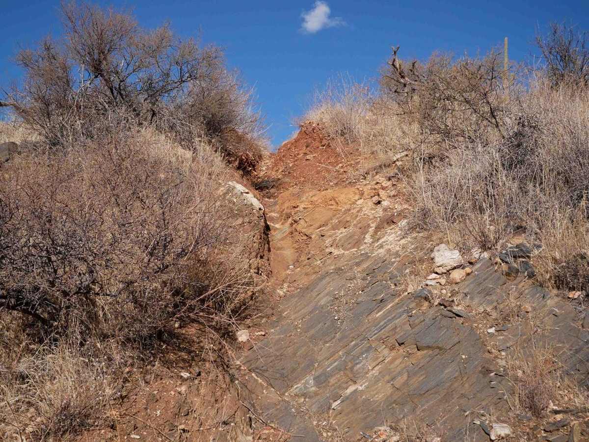 32061 trail photo