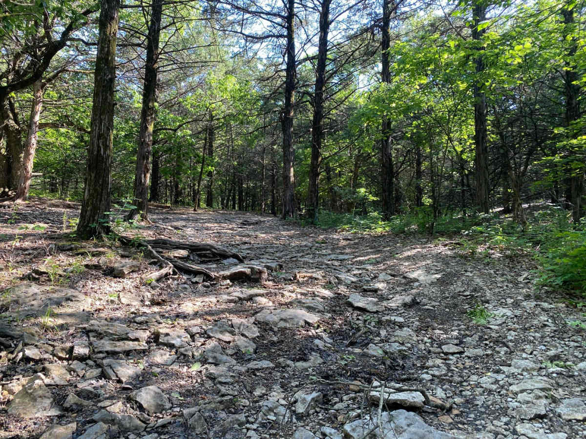 Starkey's Loop photo 4