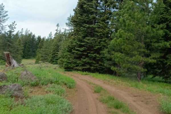 Cottonwood Rd 50199