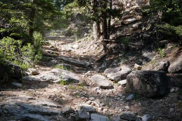 Lion Gulch