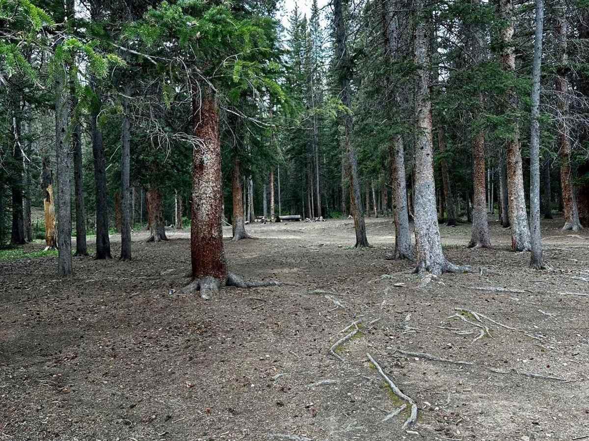 North Beaver Creek (FS 123A) photo 2