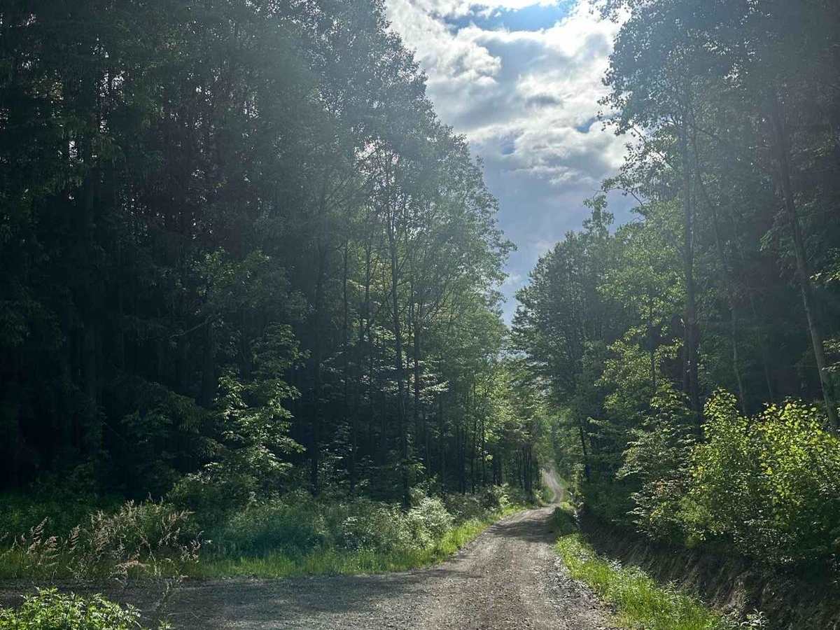 Hungry Hollow Road (Seasonal Section) photo 2