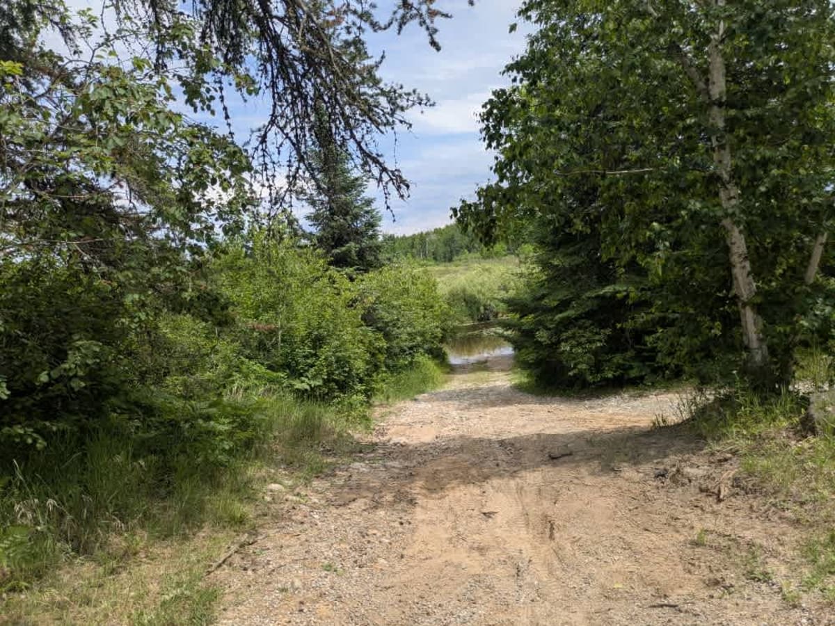 Shannon Lake Road photo 3