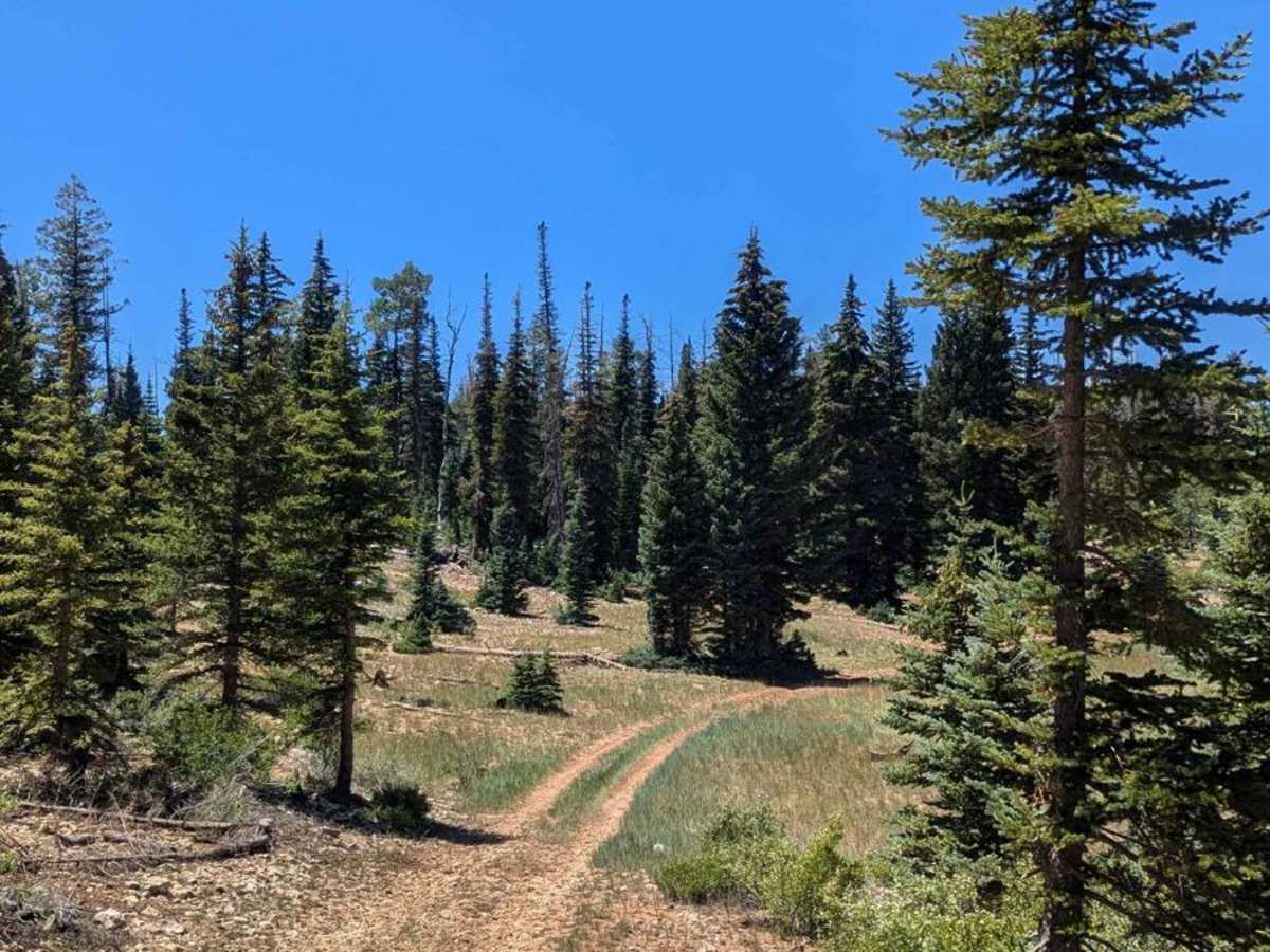 Lake View Loop photo 5