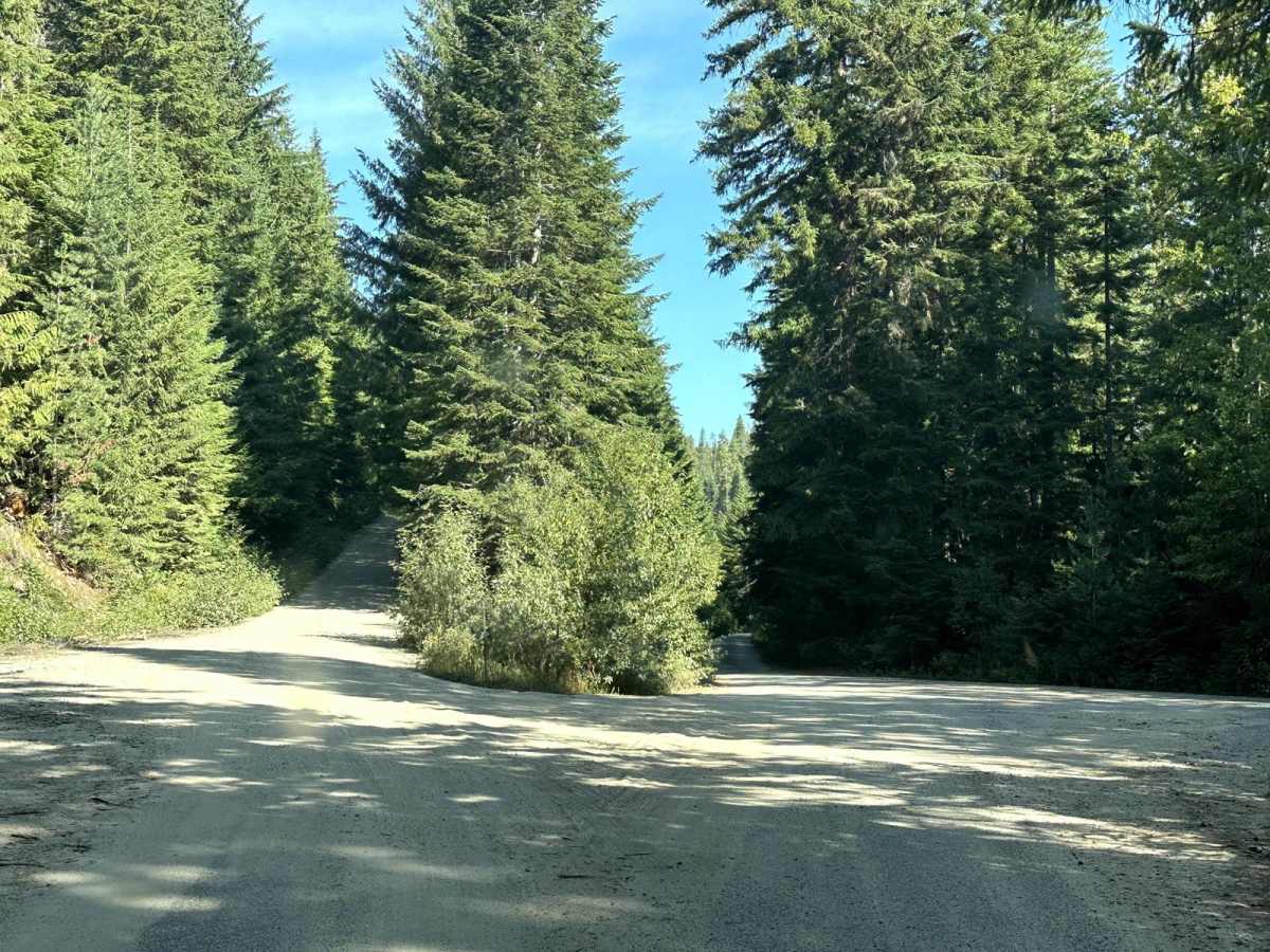 Pole Creek Loop photo 2