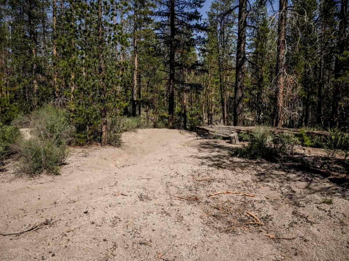82 trail photo