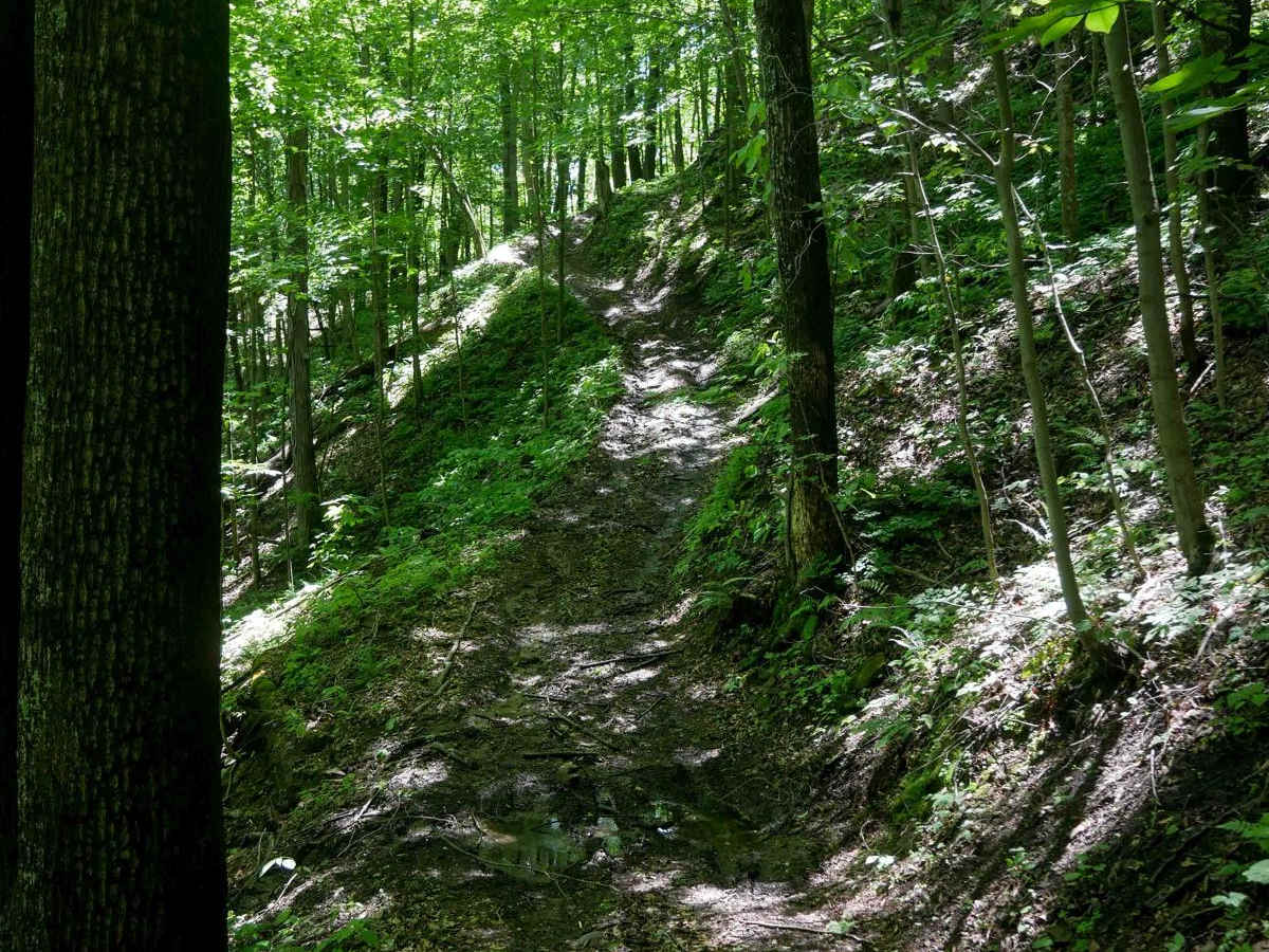 CC72 photo 3