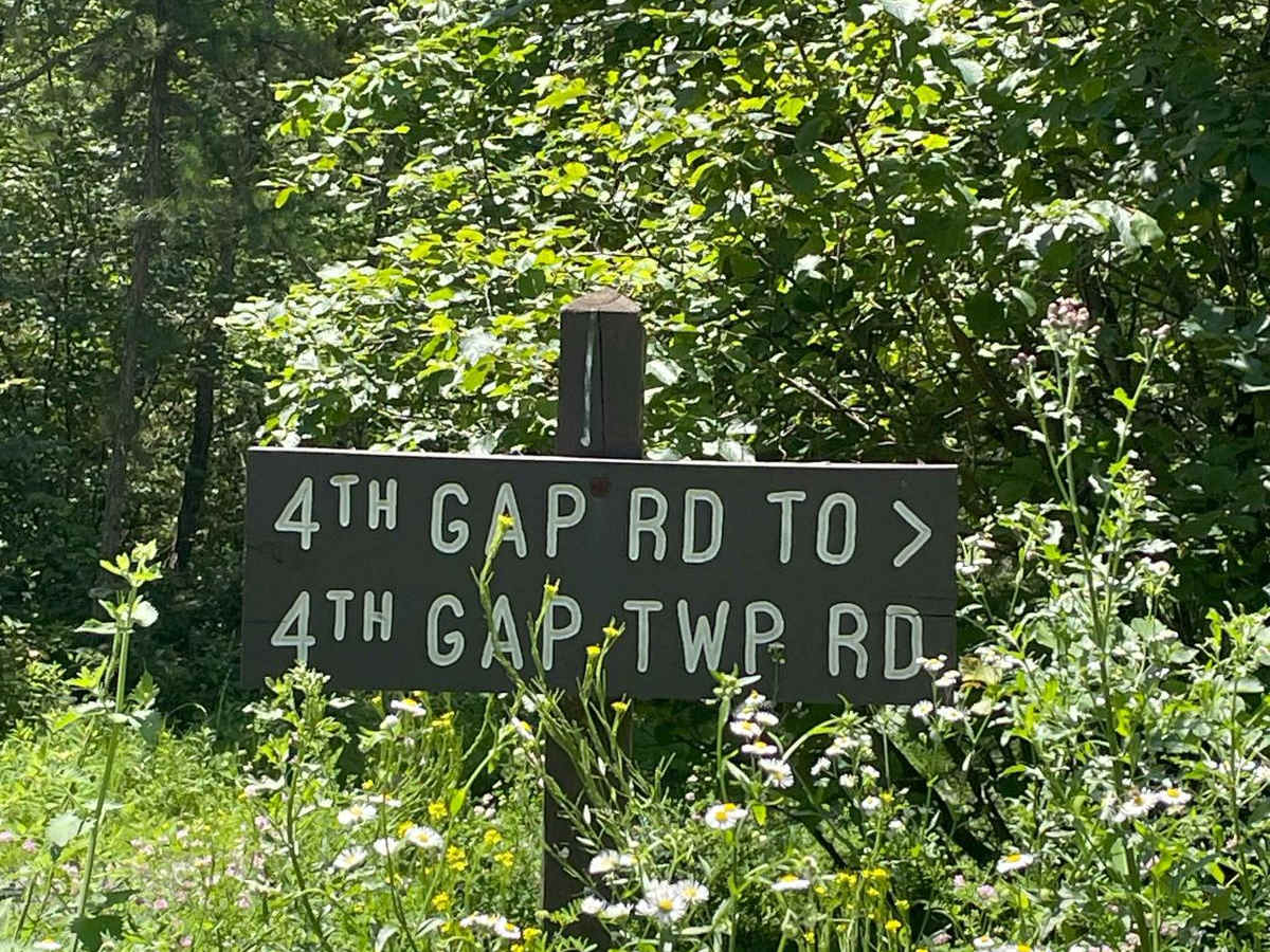 Fourth Gap Road photo 2