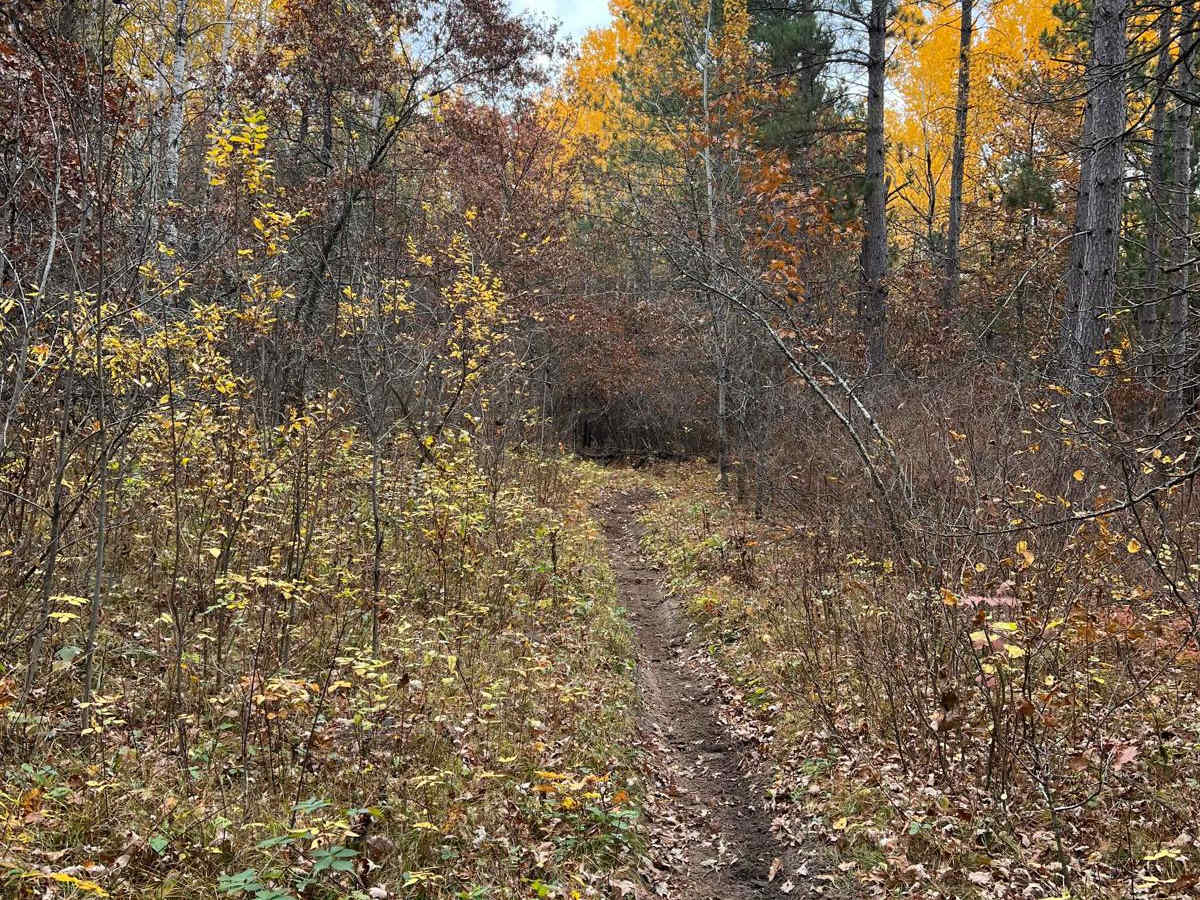 Huntersville Western Trailhead - East Leg photo 2