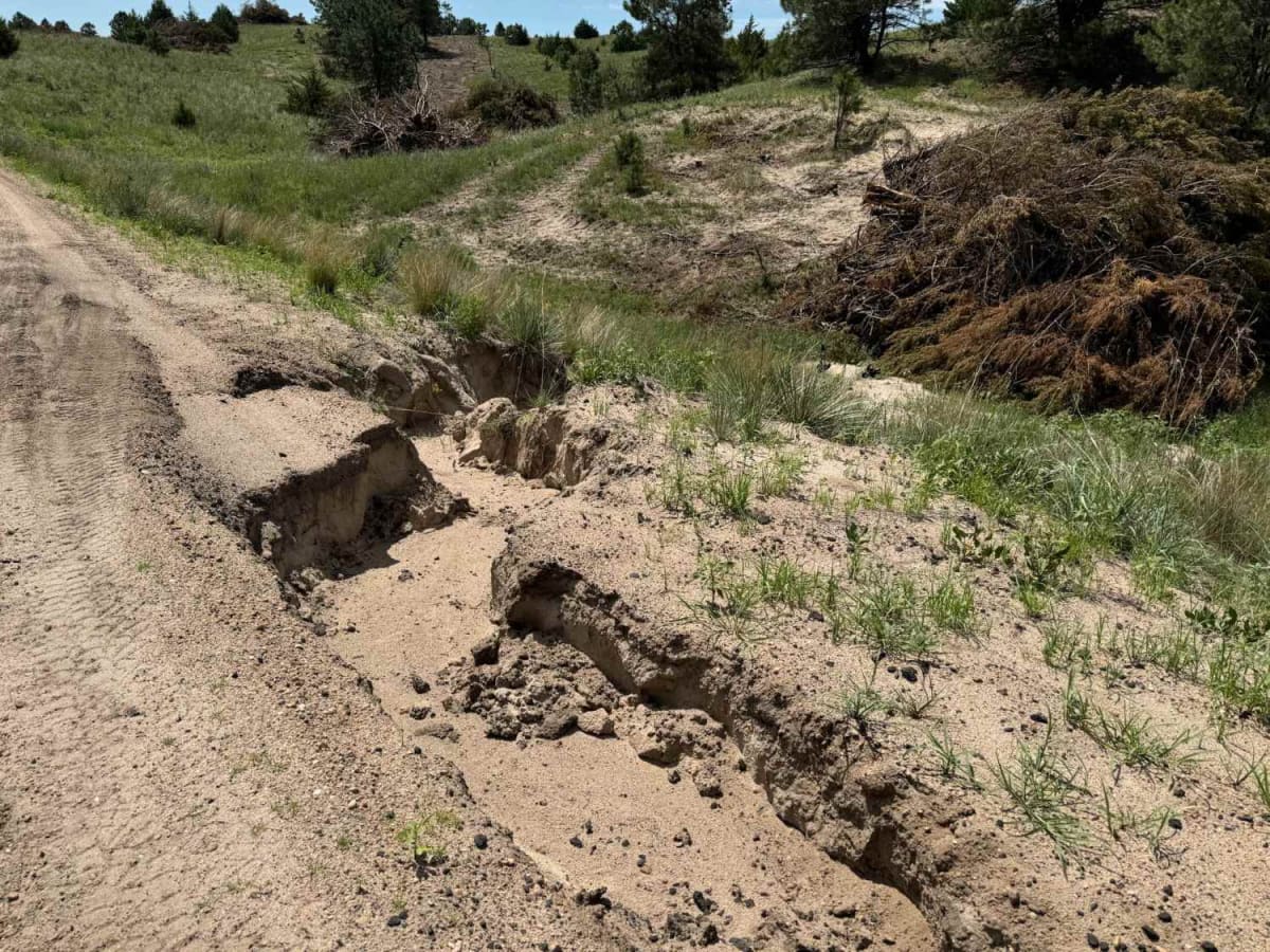 Gaston Road - NFR 259 photo 4