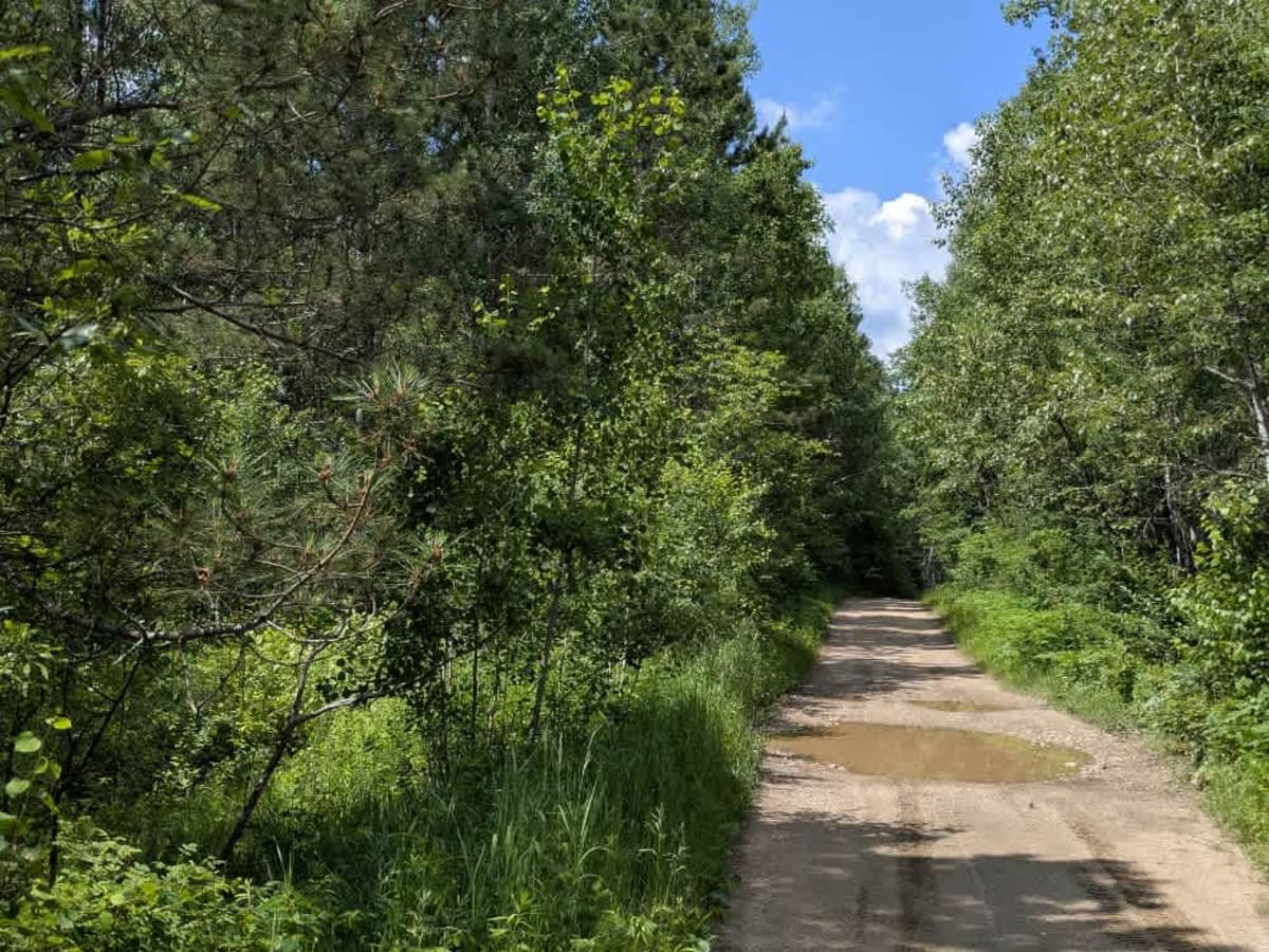 Old Angora Road photo 3