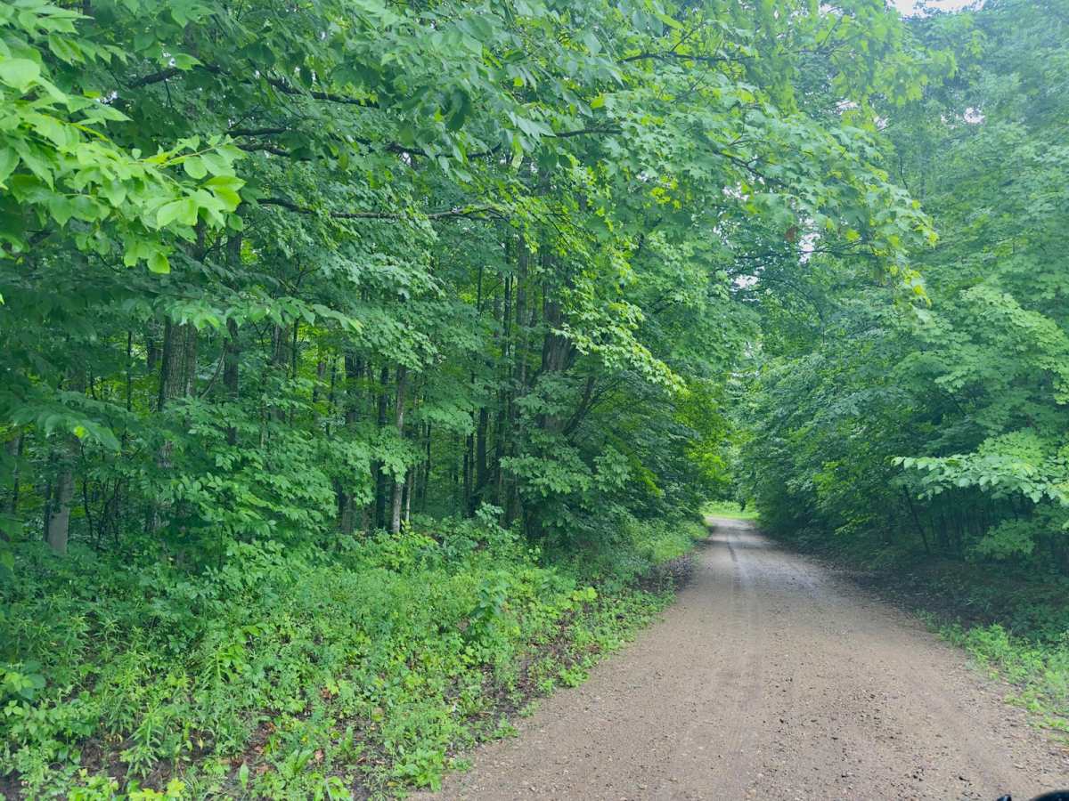 Deadman Hill Road photo 5