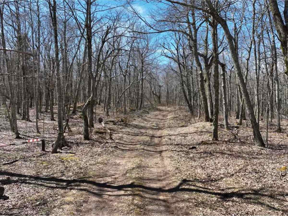 Bailey Gap to Butte Mountain trail photo