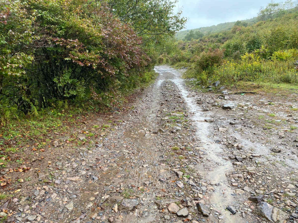 Pine Mountain trail photo