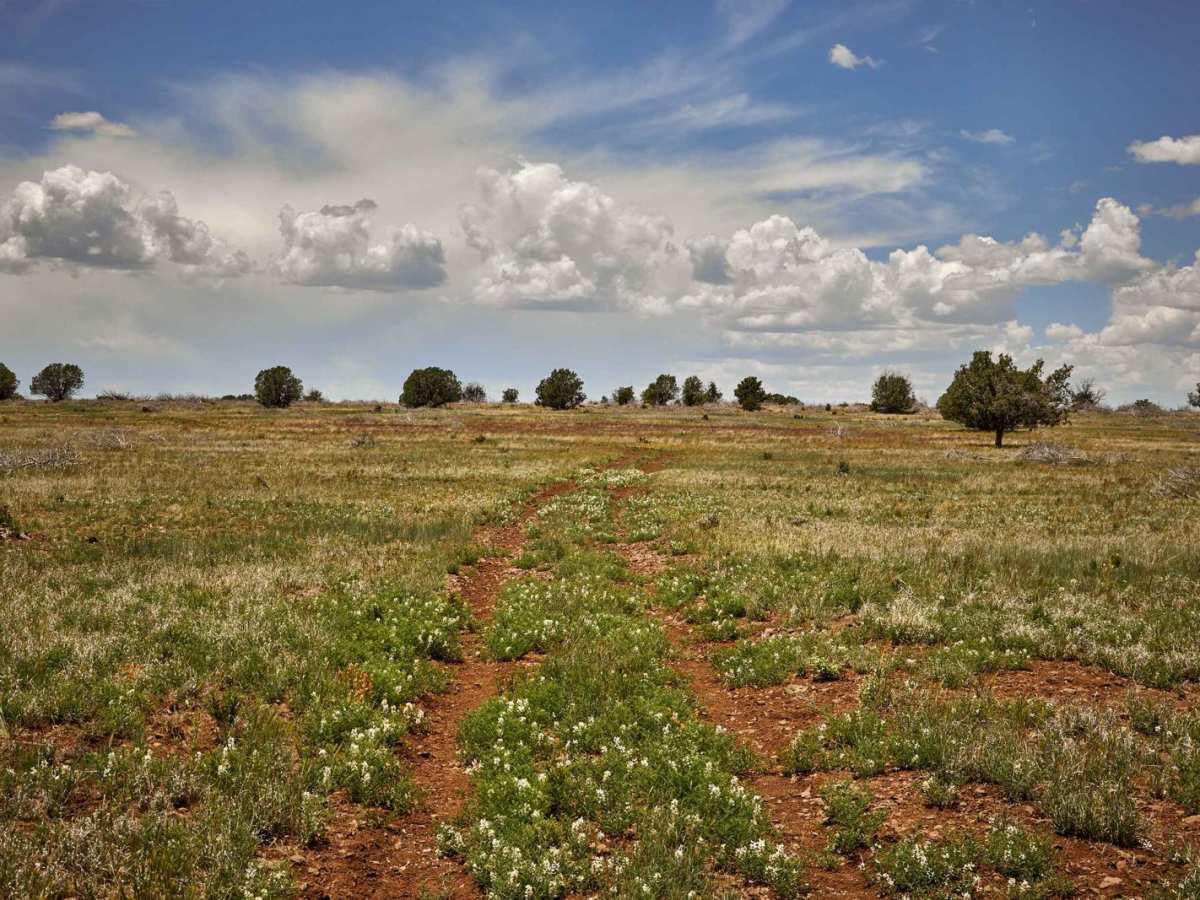 Prairie Slide photo 6