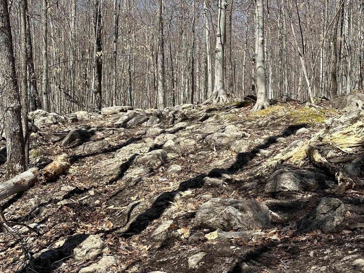 Rock Run photo 3