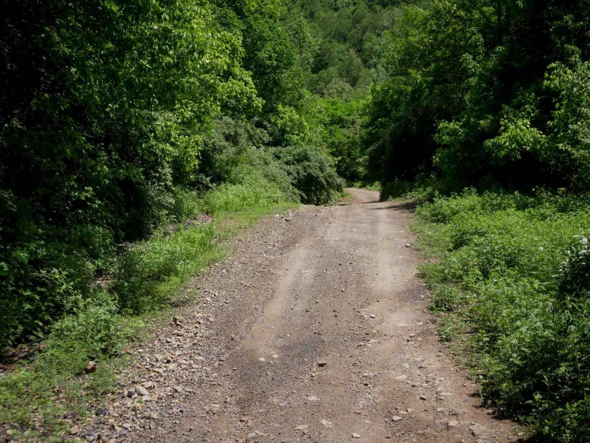 B25 trail photo
