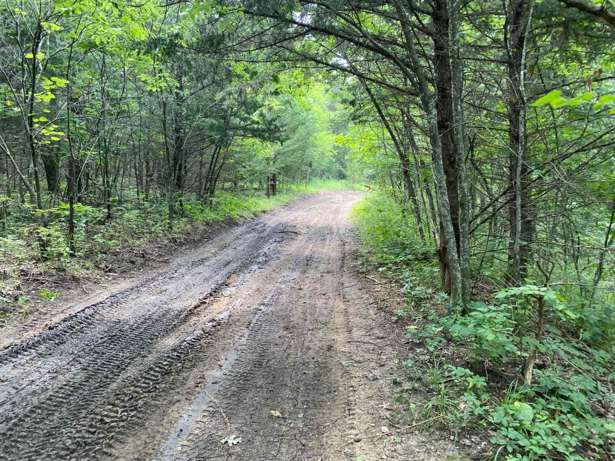 Unpaved Road photo 3