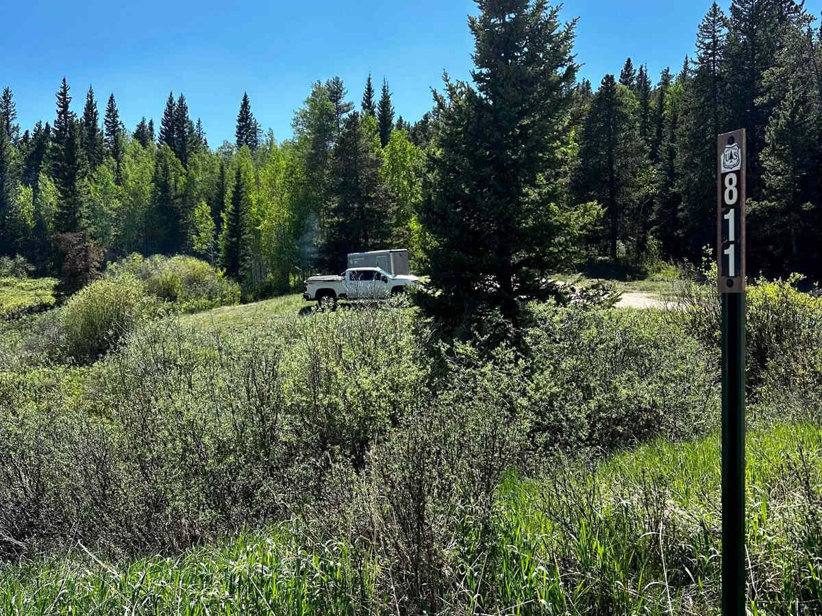 Foreign (FS 811) trail photo