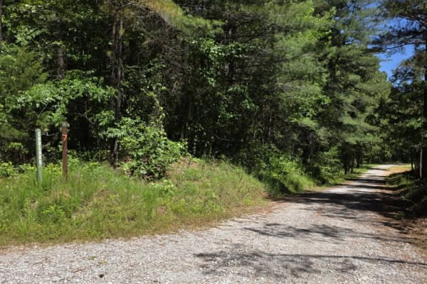 Cub Lake Trail