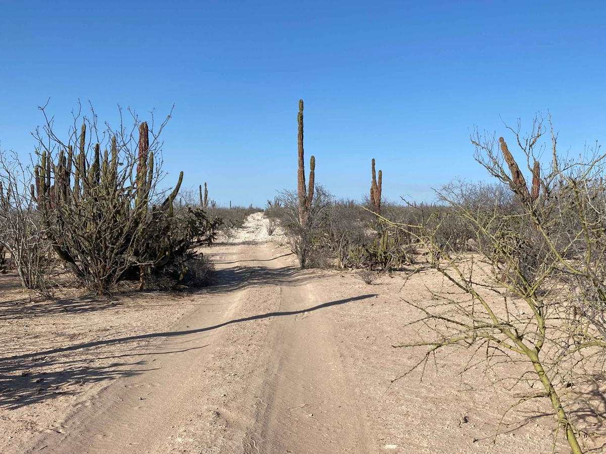 Off Middle Road photo 2