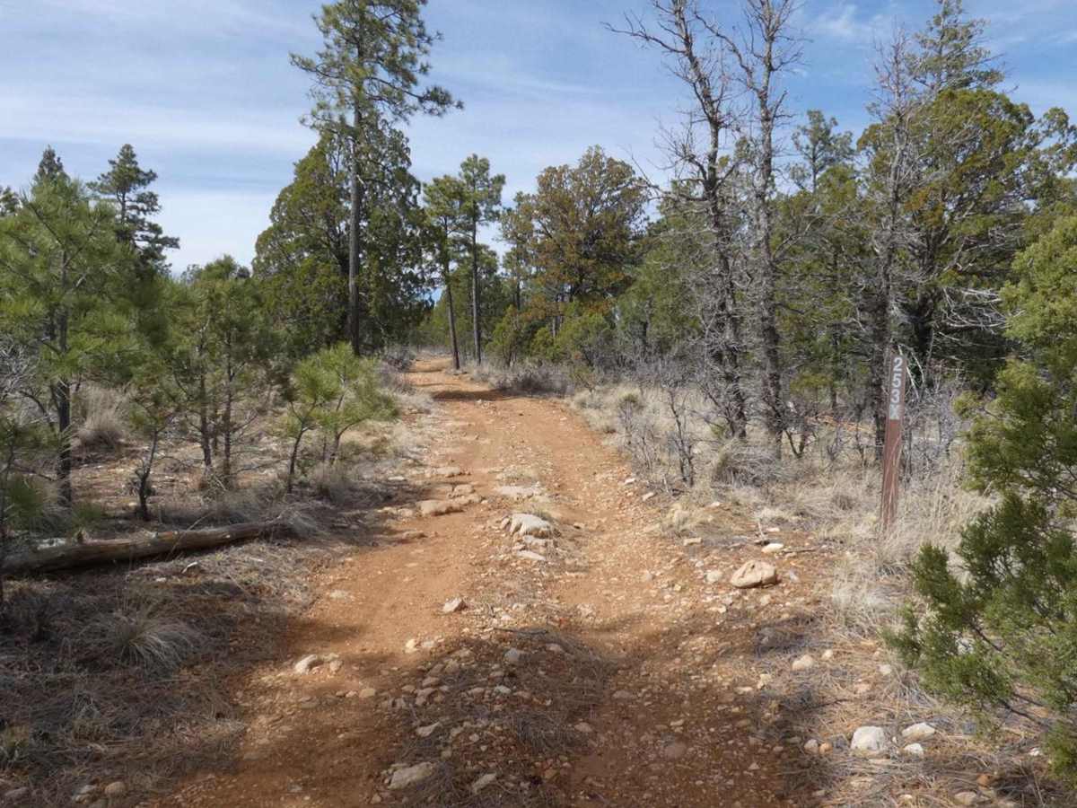 Elk Ridge North trail photo