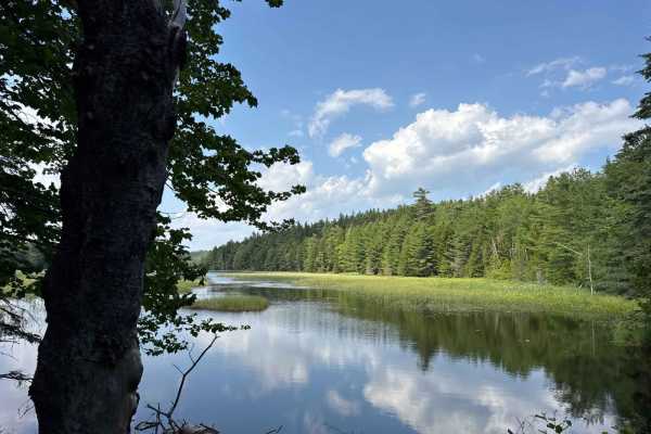Long Pond Fire Road