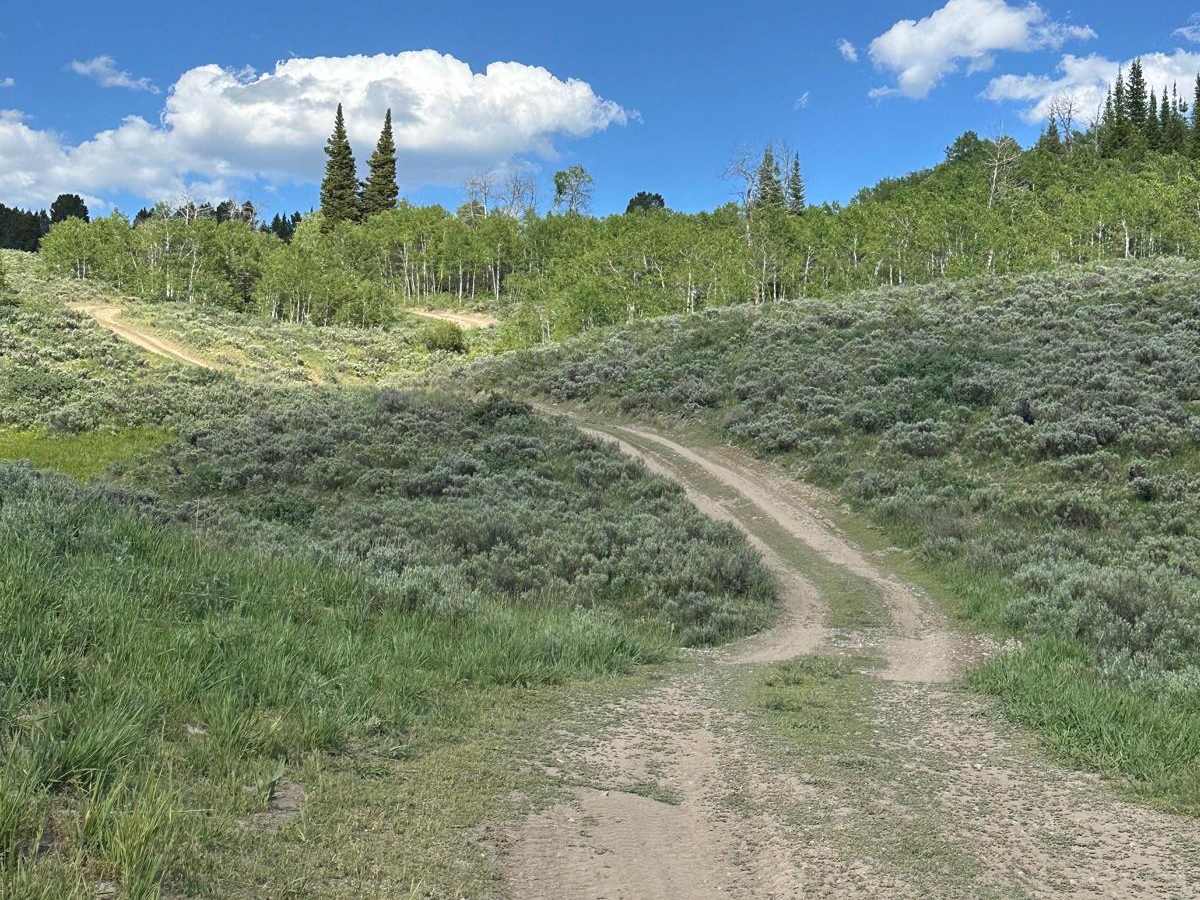 West Fork Smiths Fork Upper Trail photo 3