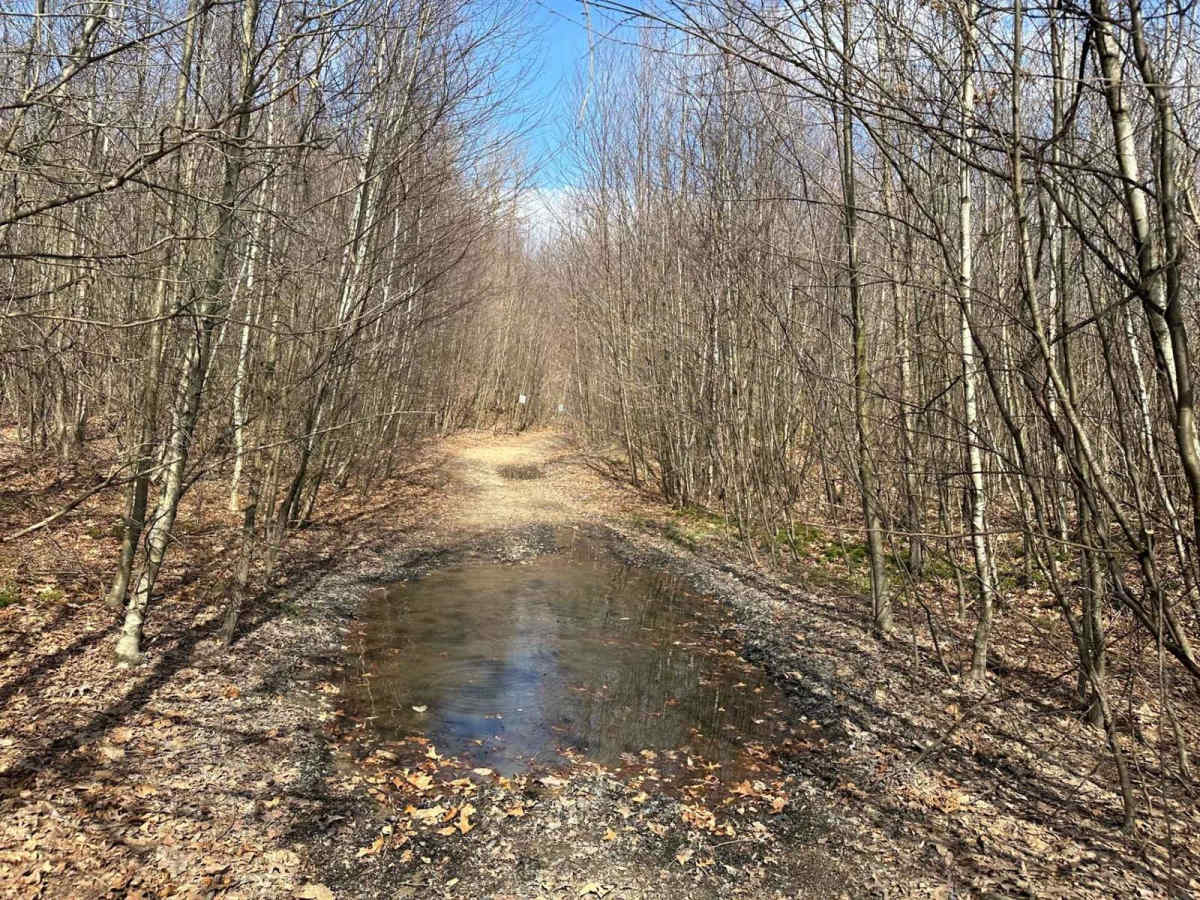 Ashland 110 photo 3