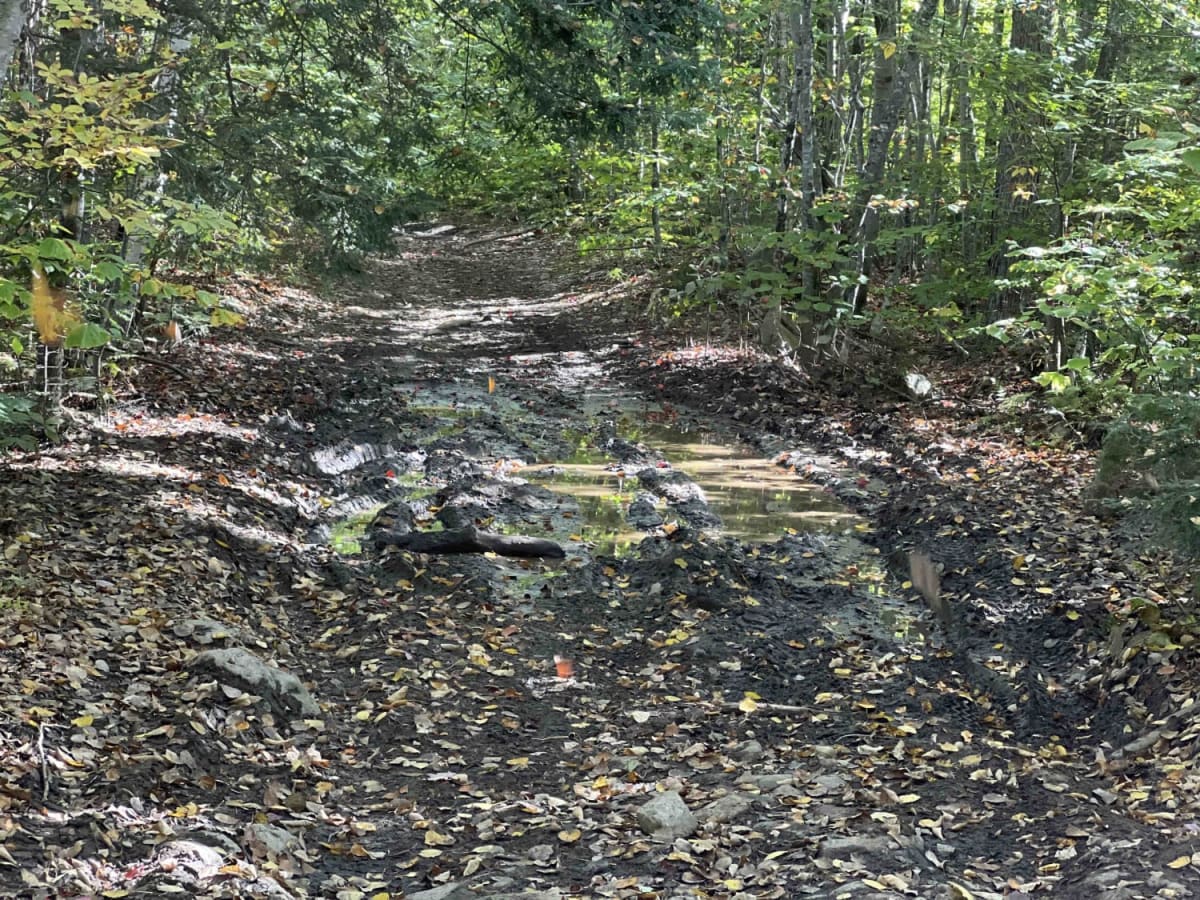 Zonner Road to Cliffy Jewel Pasture Road photo 6